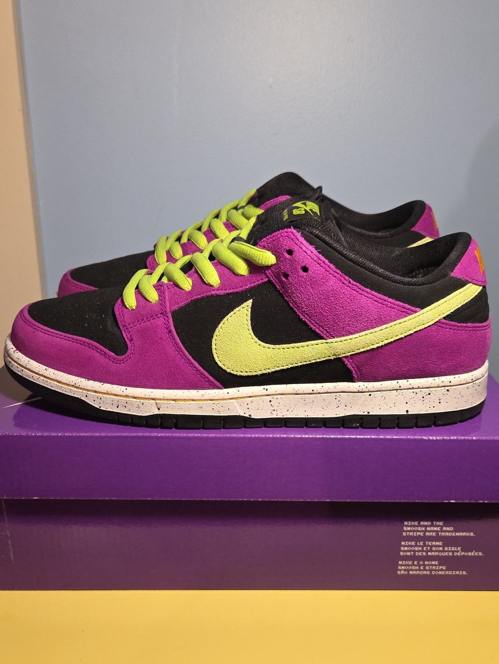 Nike SB Dunk Low Pro 'ACG Terra Red Plum' Size 10.5